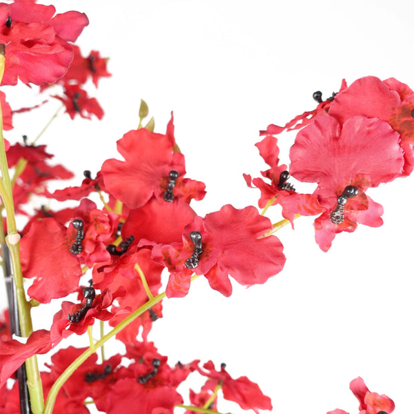 Oncidium Orchid Red in Stoneware Planter