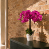 Artificial Deluxe Bush Orchid Pink 85cm Bush Orchid Lots of Flowers Botanik