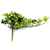 25cm Artificial Trailing Variegated Monstera Vine Plant