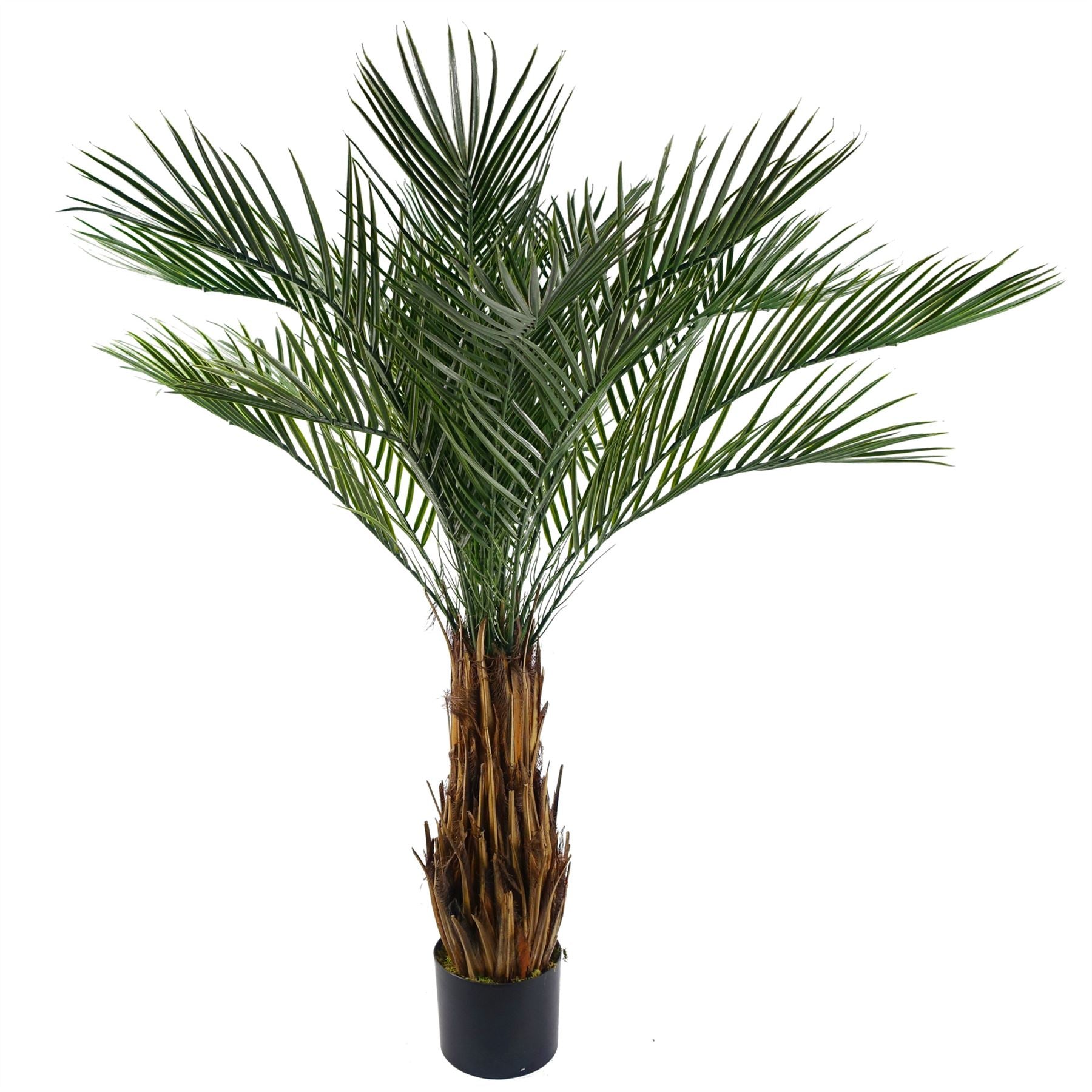 Cycas Palm Tree UV Resistant Outdoor 120cm Botanik