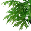 Pack of 6 x 85cm Artificial Foliage Botanik Stem - Premium Quality