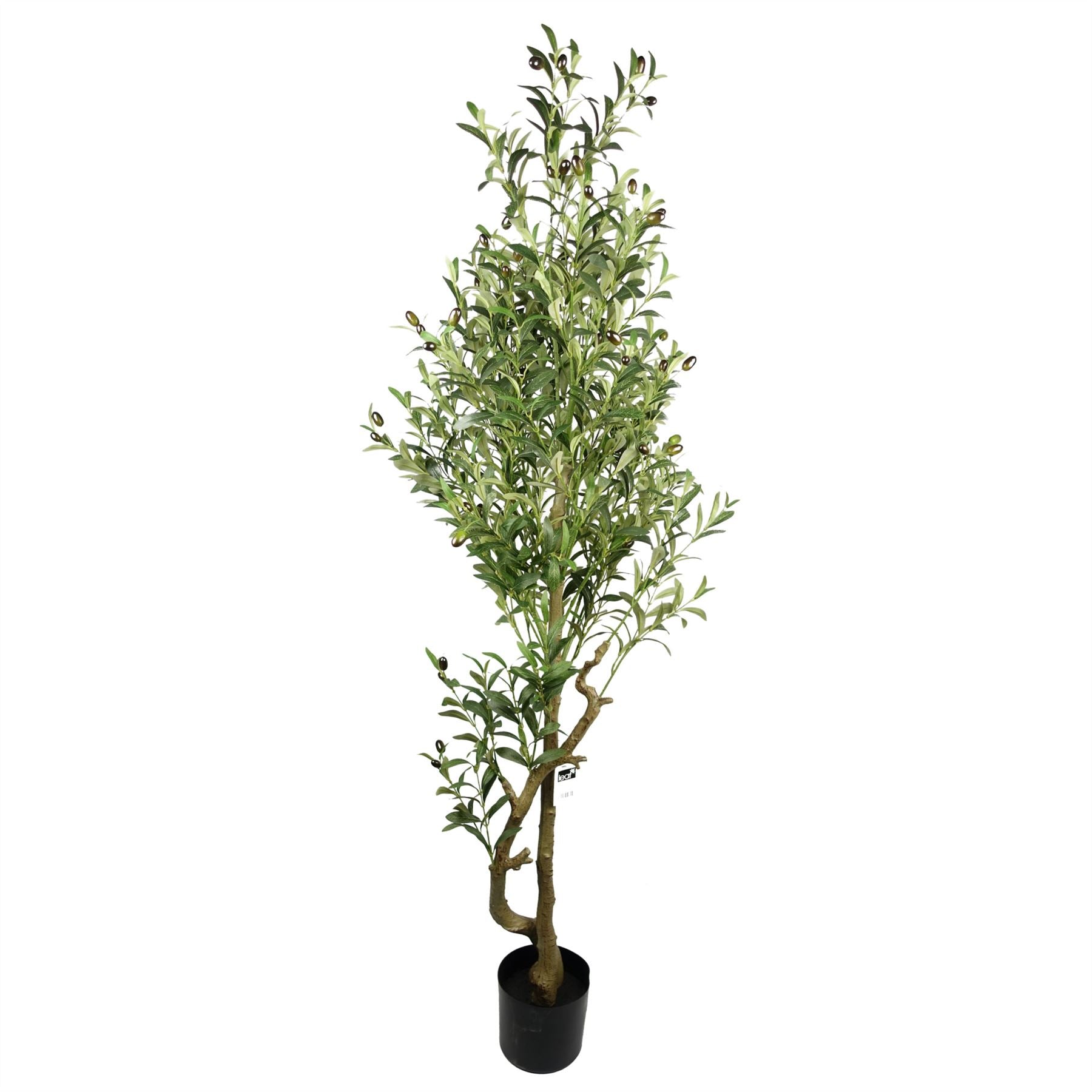 Artificial Olive Tree Bush Large 5.5ft tall Botanik