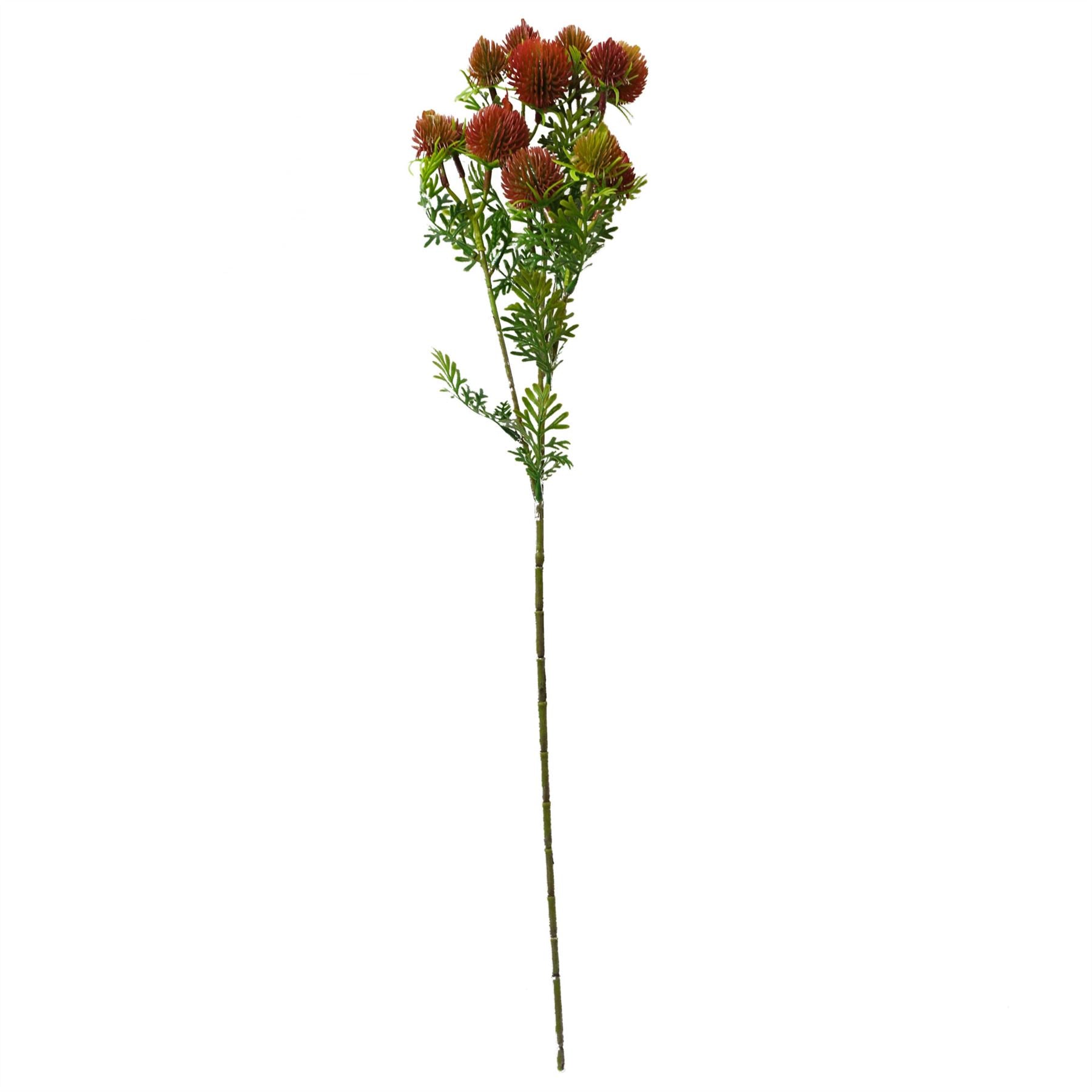 55cm Craspedia Stem Red Artificial