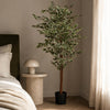 160cm Artificial Ficus with Natural Variegated Leaves - Premium Quality