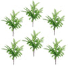 6 x 55cm Himilayan Maidenhair Fern Bush Light Green Plant - Premium Quality