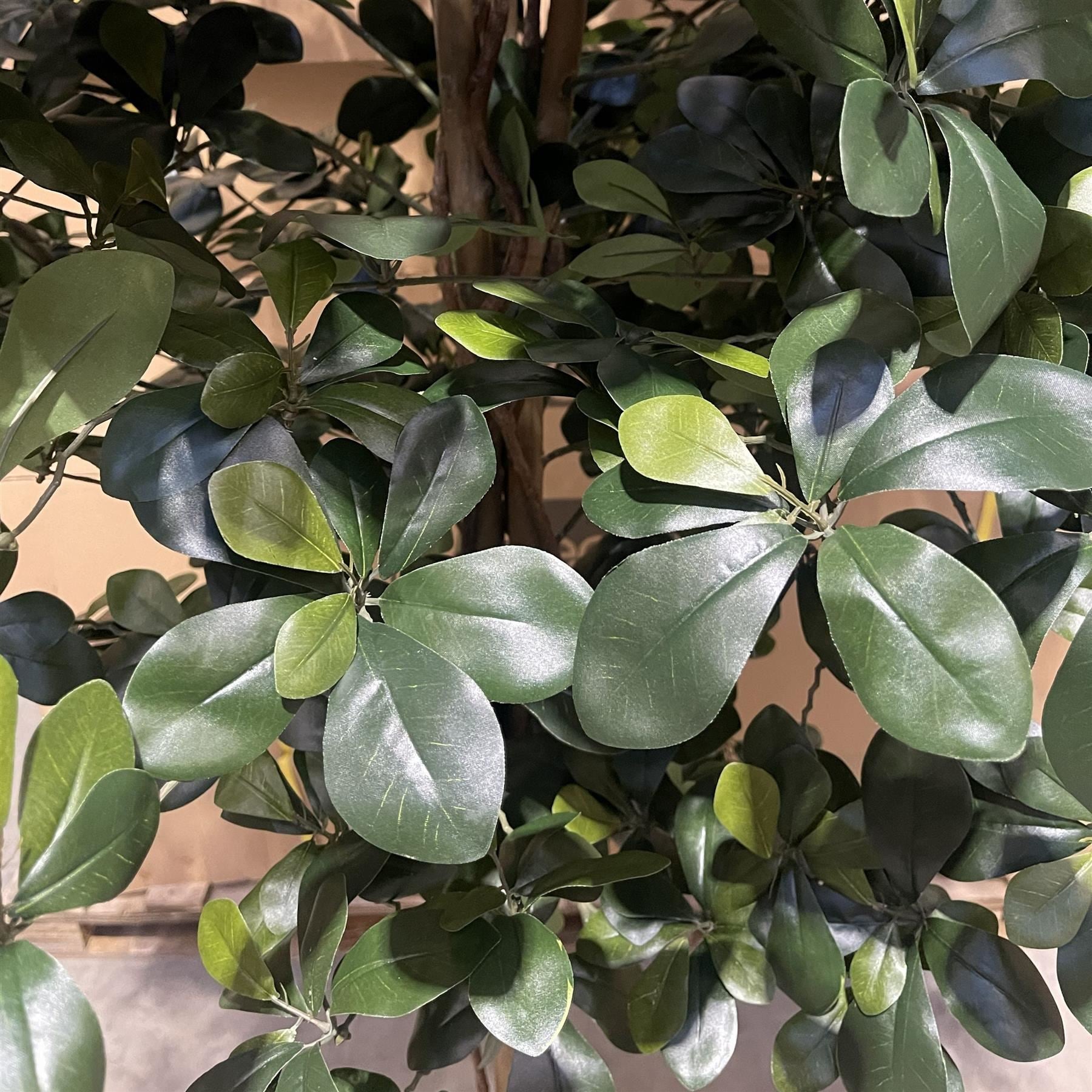 180cm Fire Retardant Black Olive Tree with 2925 Leaves and Natural Trunk - Premium Quality
