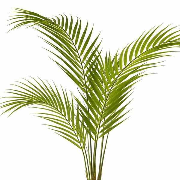 70cm Artificial Areca Palm Tree - Premium Quality