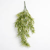 Pack of 6 x 80cm Italian Ruscus Hanging Plant with Realistic Foliage - Light Green