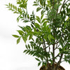 60cm Artificial Nandina Bonsai Ficus Tree - Premium Quality