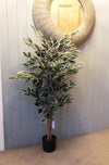 Artificial Ficus Tree Plant White Edge Bushy 130cm Realistic House Plants Botanik