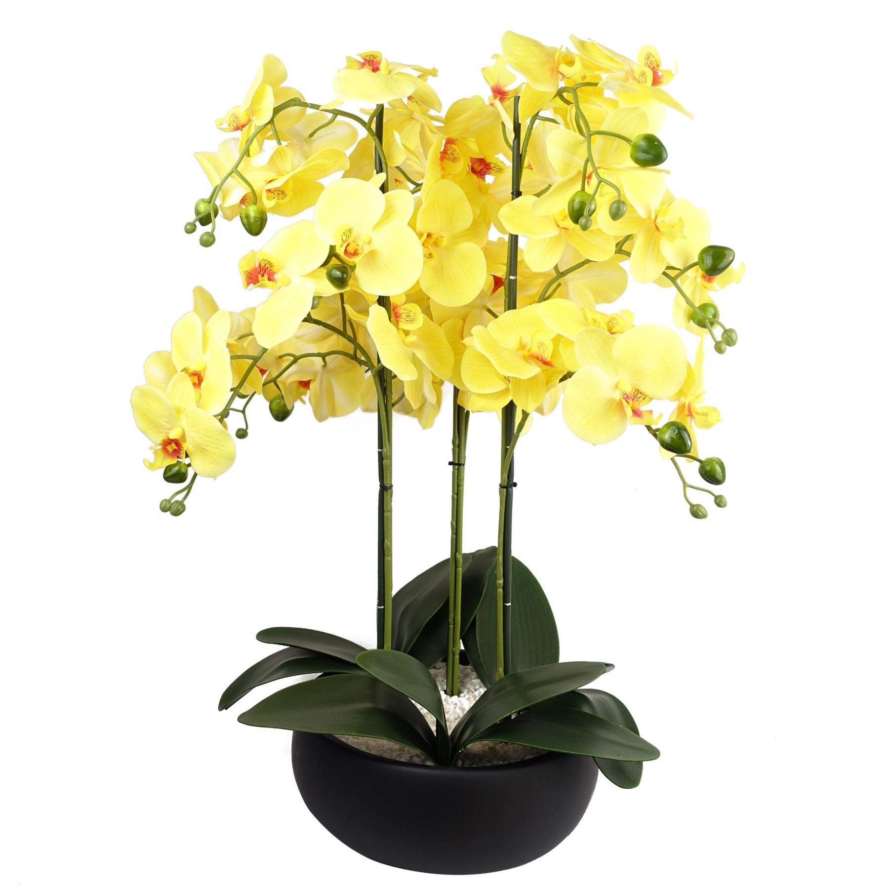 Orchid Artificial Yellow Black Ceramic Planter Botanik