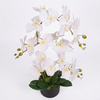 65cm Leaf Design UK Realistic Artificial Orchid Flower Display in Pot