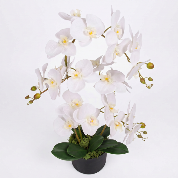 65cm Leaf Design UK Realistic Artificial Orchid Flower Display in Pot