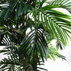 Areca Palm Artificial Tree 150cm  - Realistic plant by Botanik