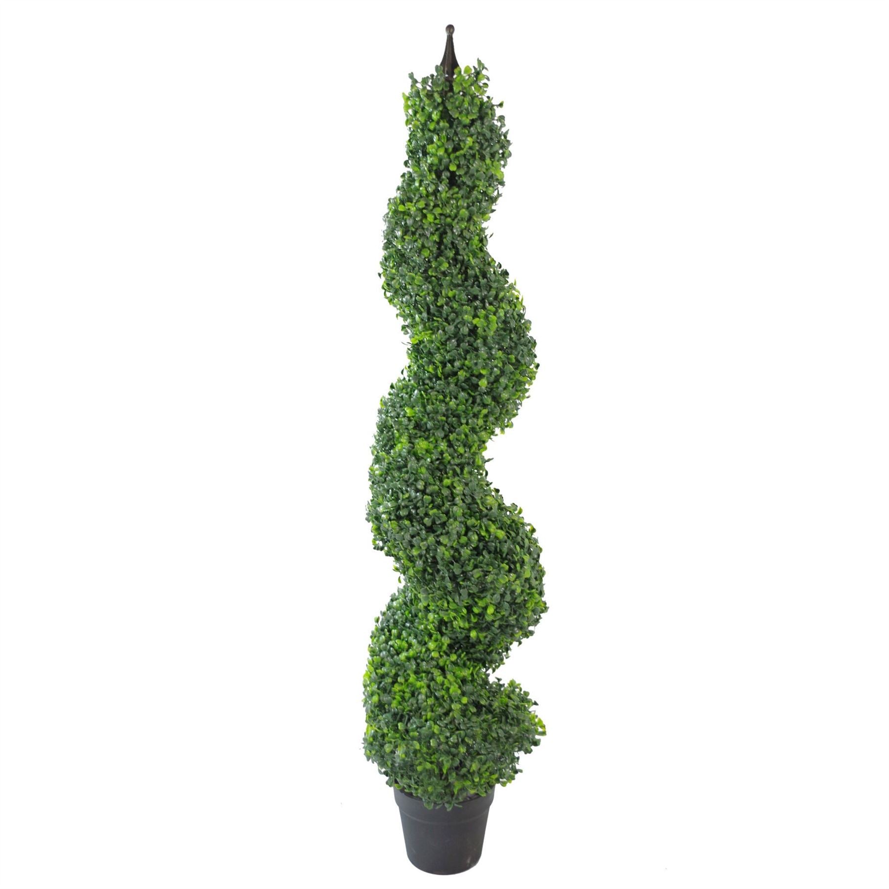 Buxus Boxwood Spiral Trees 120cm