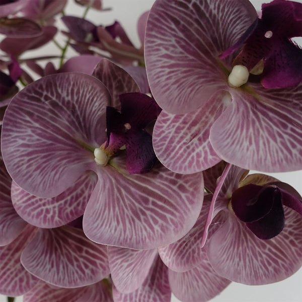 Pack of 6 x 100cm Artificial Phalaenopsis Orchid Purple Stem - 42 Flowers - Premium Quality