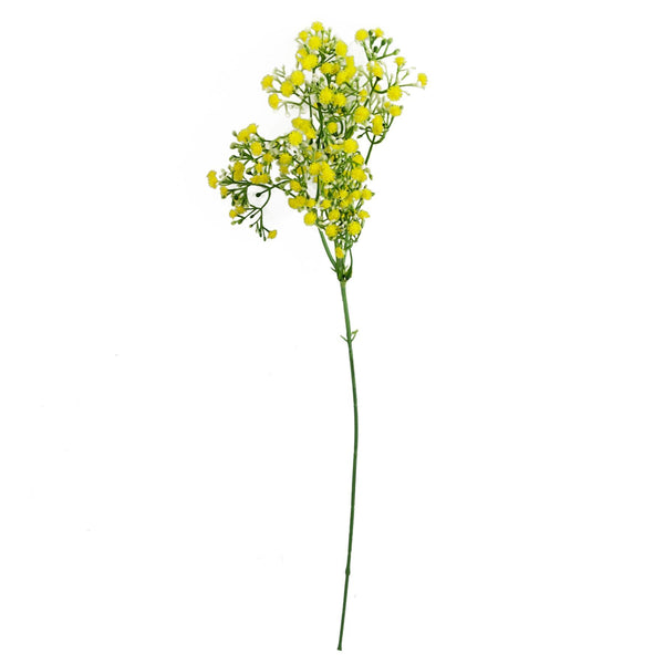 Pack of 6 x 55cm Gypsophila Yellow Stem - Premium Quality