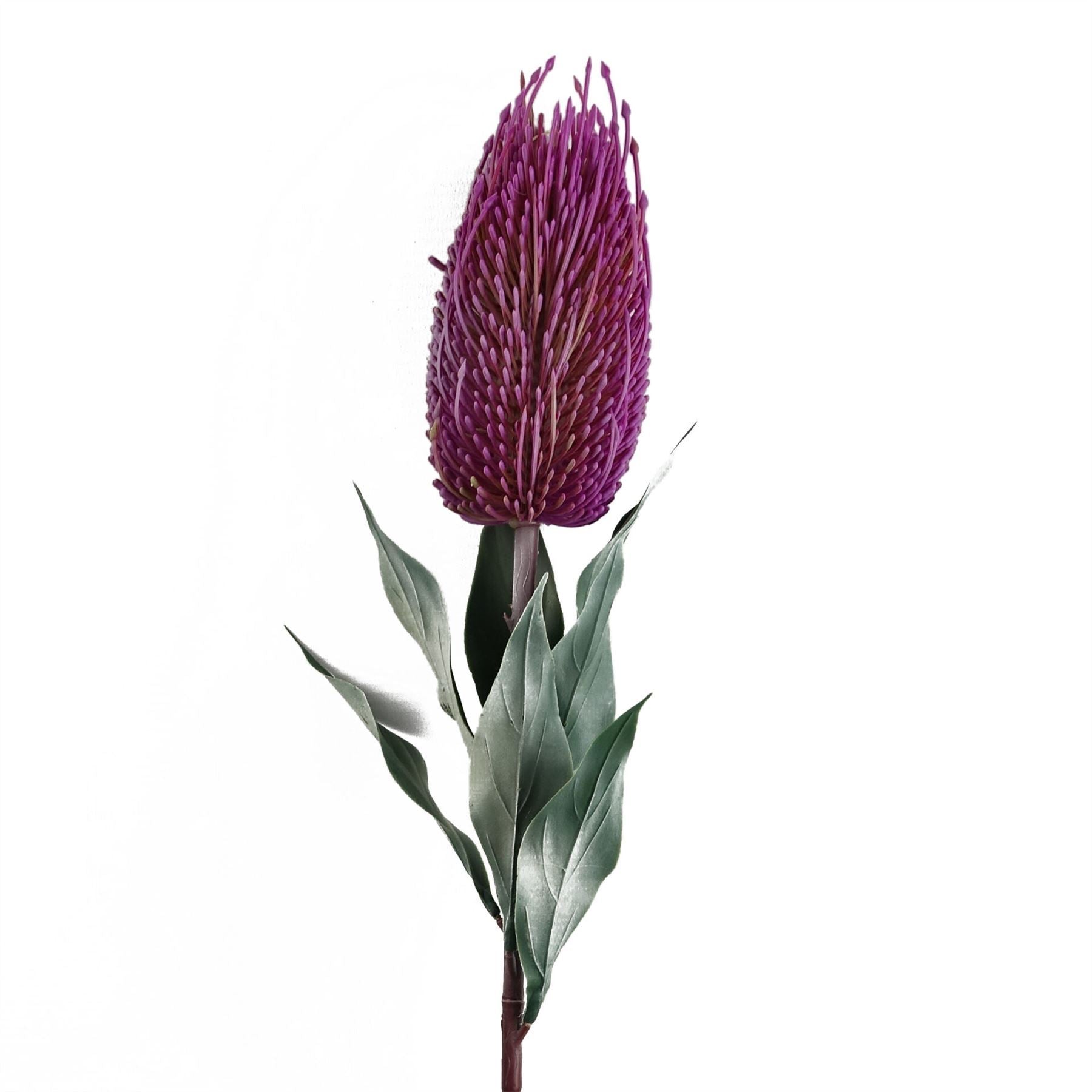 Pack of 6 x 75cm Banksia Menziesii Pink Flower Stem Artificial - Premium Quality