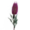 Pack of 6 x 75cm Banksia Menziesii Pink Flower Stem Artificial - Premium Quality