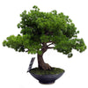 Artificial Bonsai Tree Pine Bonsai 50cm UK Trees Plant