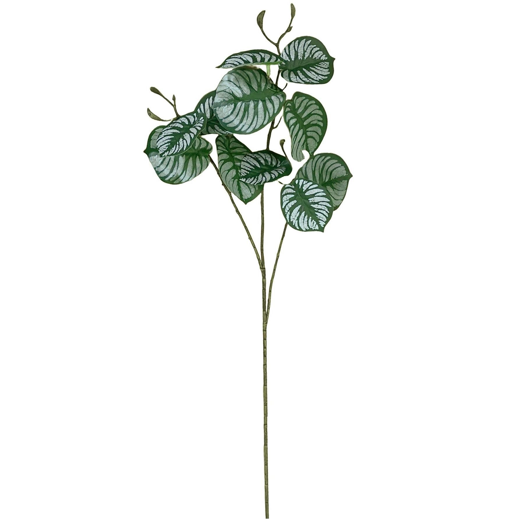 Pack of 6 x 70cm Artificial Zebra Foliage - Premium Quality