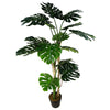 Luxury Monstera Cheese Plant Black Pot