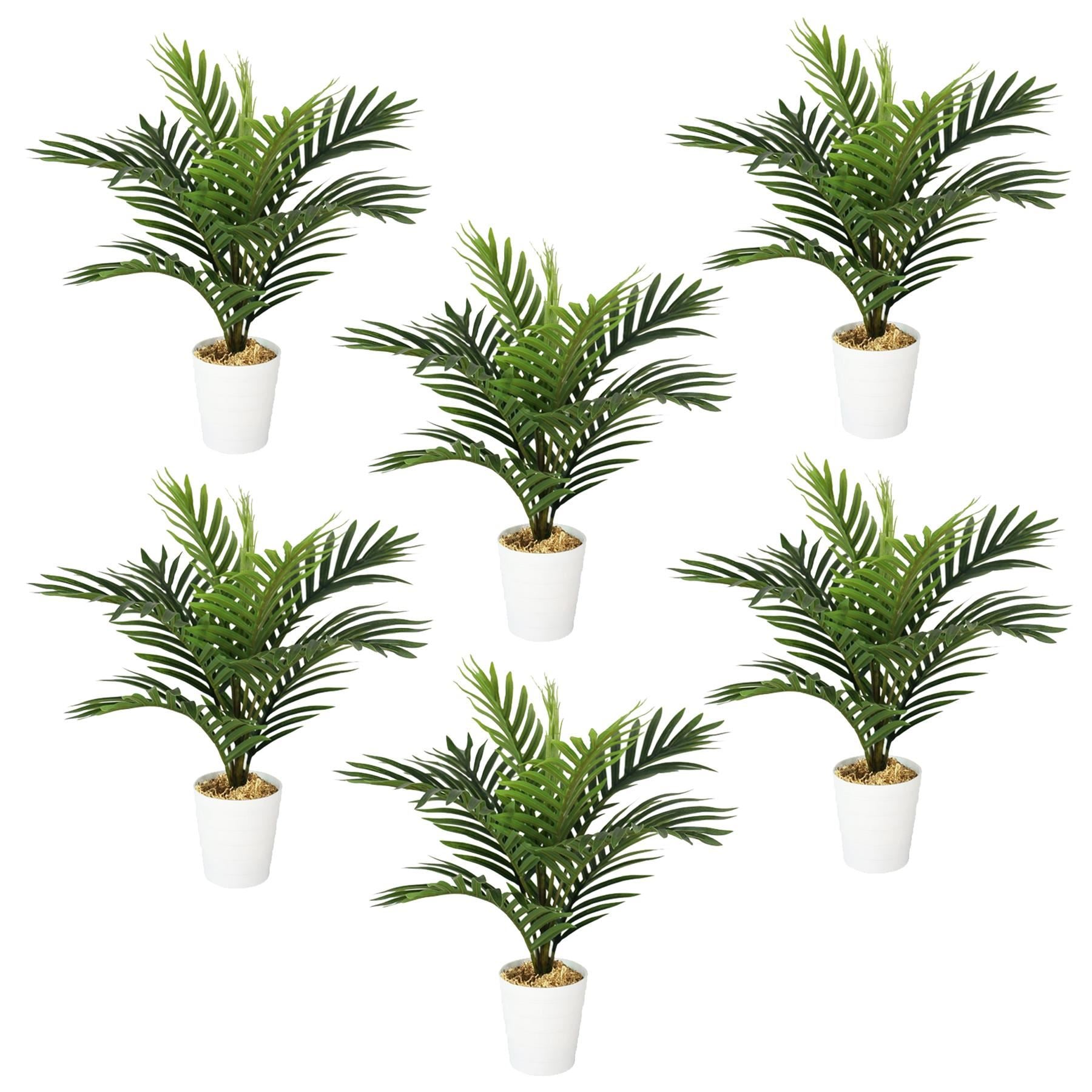 Pack of 6 x 50cm Artificial Mini Palm Tree - Premium Quality