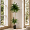 180cm Dracaena Realistic Artificial Tree - Premium Quality