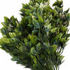 Pack of 6 x 75cm Artificial Boxwood Leaf Bush Stem