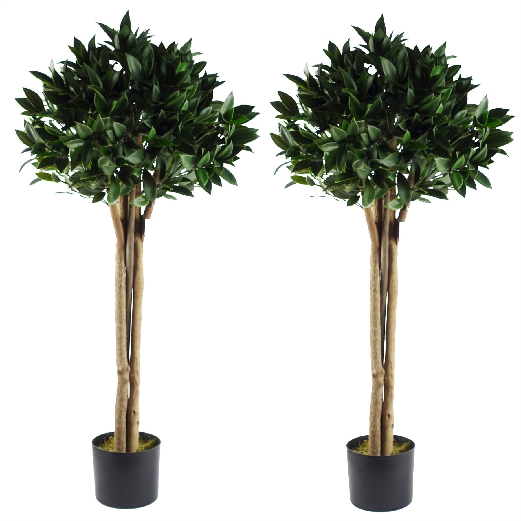 Leaf 120cm Bay Tree Laurel UV Resistant Outdoor