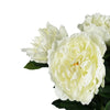 Pack of 6 x 80cm Artificial Cream Peony Stem - Premium Quality