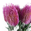 Pack of 6 x 75cm Banksia Menziesii Pink Flower Stem Artificial