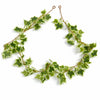 Pack of 6 x 160cm Artificial Ivy Garland Trailing Hanging Plant Faux Foliage - Variegated