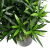 Leaf Design 40cm Podocarpus Bush Artificial Plant