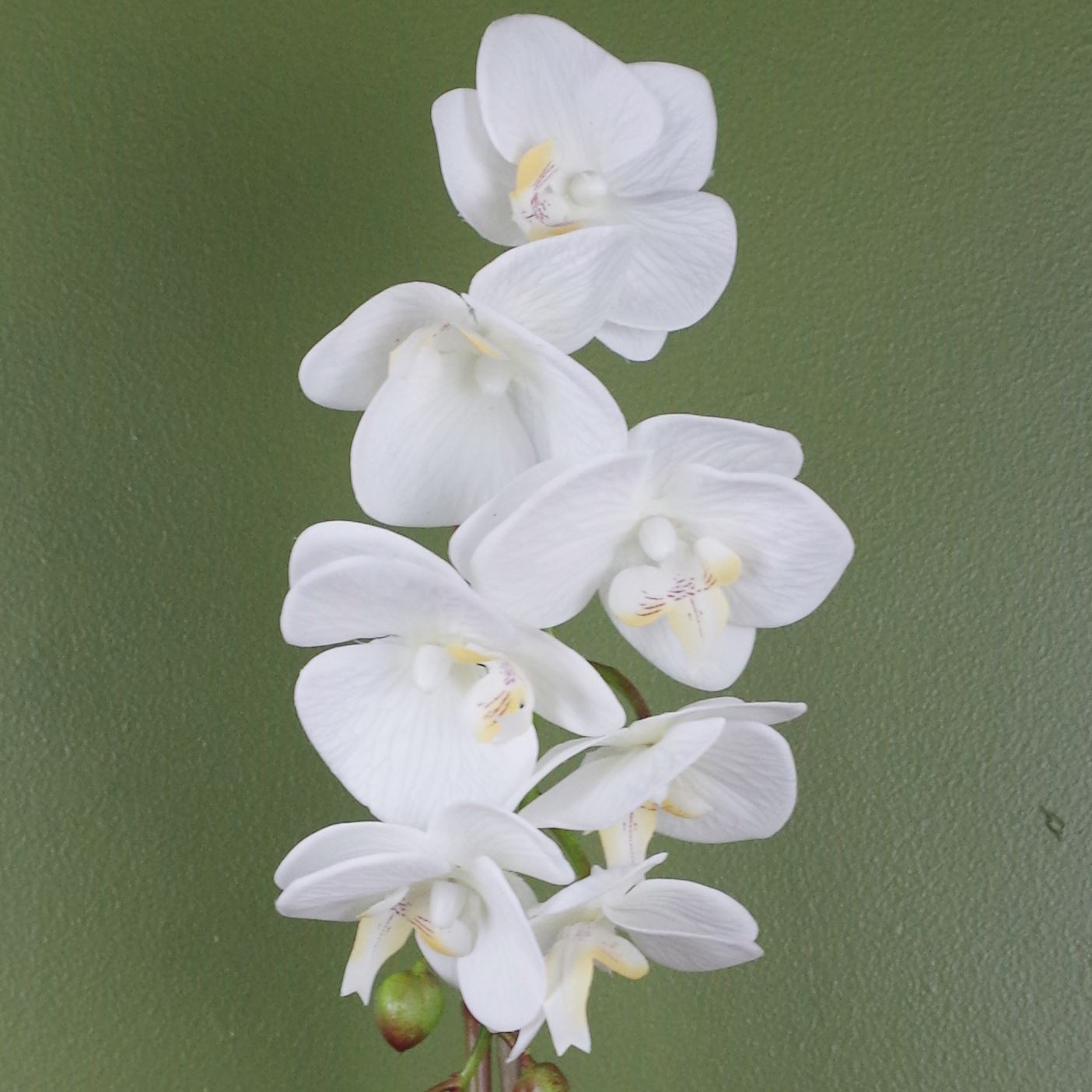 46cm Artificial Orchid White Silver Pot