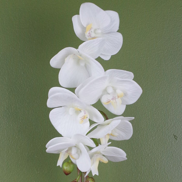 46cm Artificial Orchid White Silver Pot