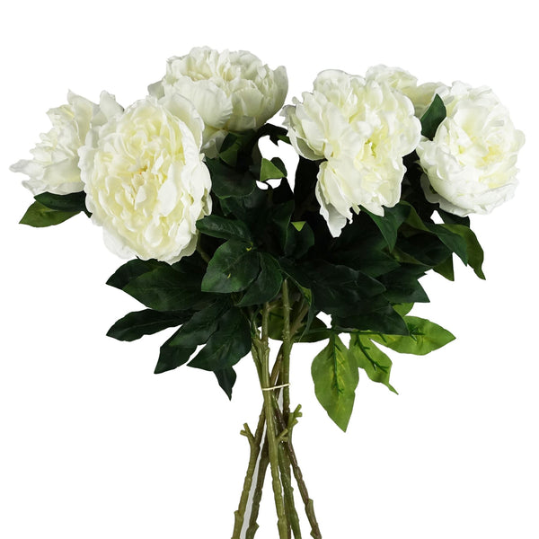 Pack of 6 x 80cm Artificial White Peony Stem