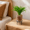 Artificial Grass Planter Ceramic & Metal
