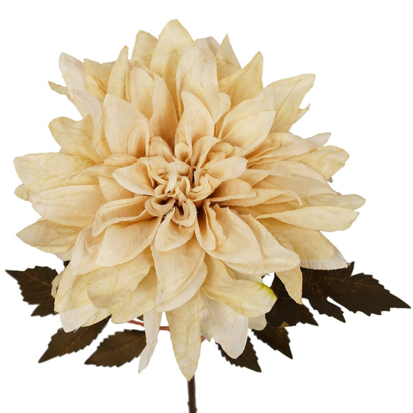 Pack of 6 x 55cm Dahlia Flower Stem - Dusty Cream - Premium Quality