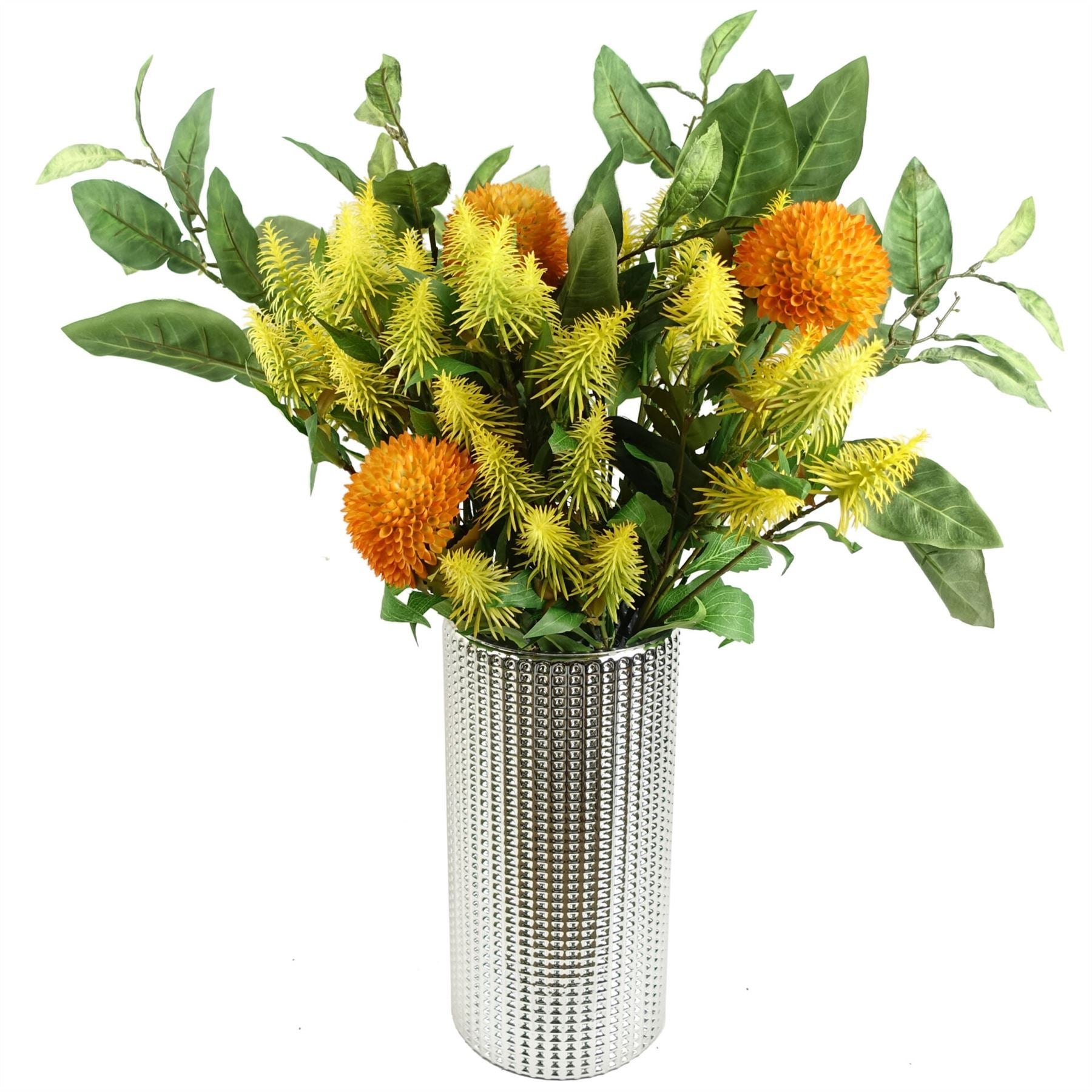 Pack of 6 x 55cm Callistemon Pallidus Yellow Bottle Brush Stem - Premium Quality
