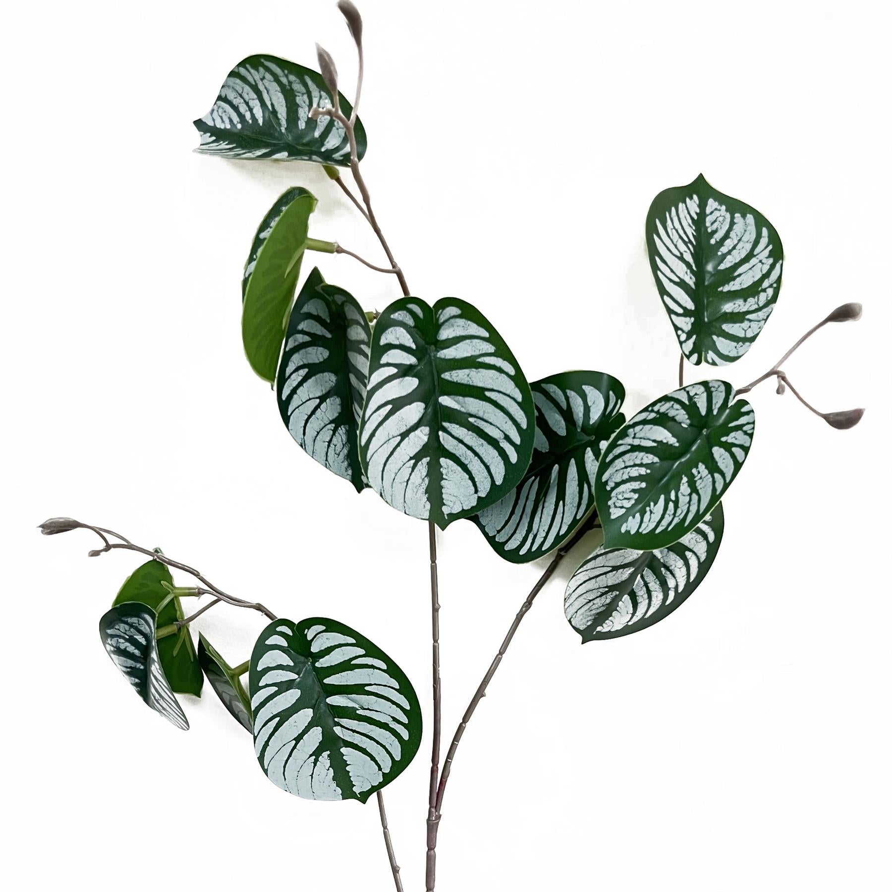 70cm Artificial Zebra Foliage