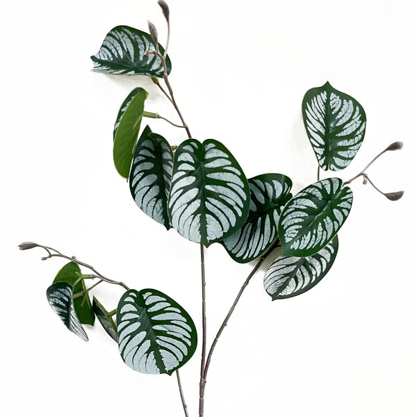 70cm Artificial Zebra Foliage