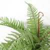 Artificial 60cm Bushy Dixie Wood Fern Light Green Plant