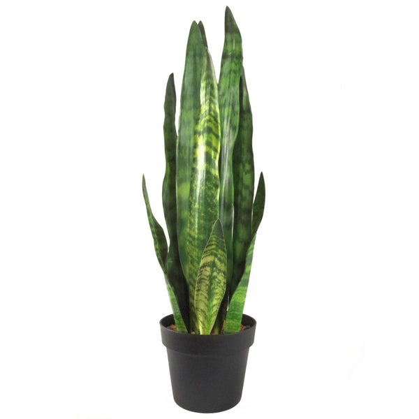 Tropical Artificial Plants 70cm Sansevieria Zeylanica 70cm Plants