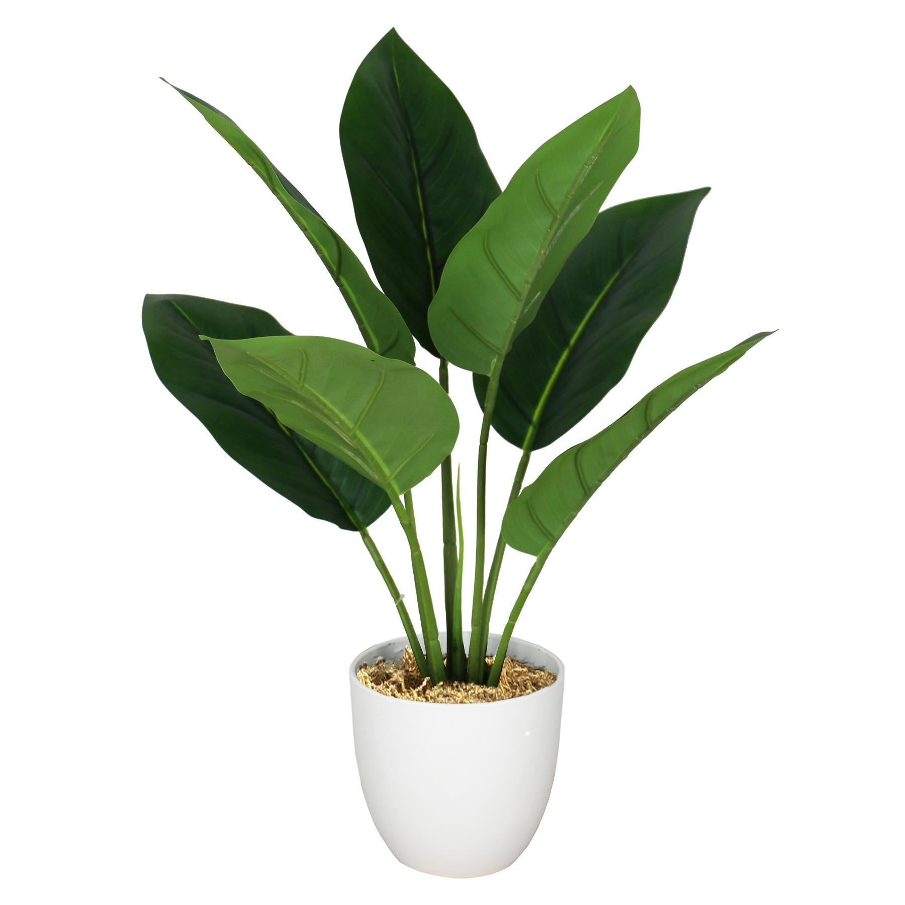 Pack of 6 x 45cm Artificial Aureum Plant - Premium Quality