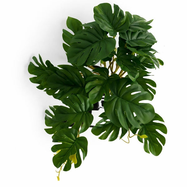 Pack of 6 x 25cm Realistic Monstera Stem Plant - Dark Green - Premium Quality