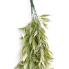 80cm Italian Ruscus Hanging Plant with Realistic Foliage - Light Green
