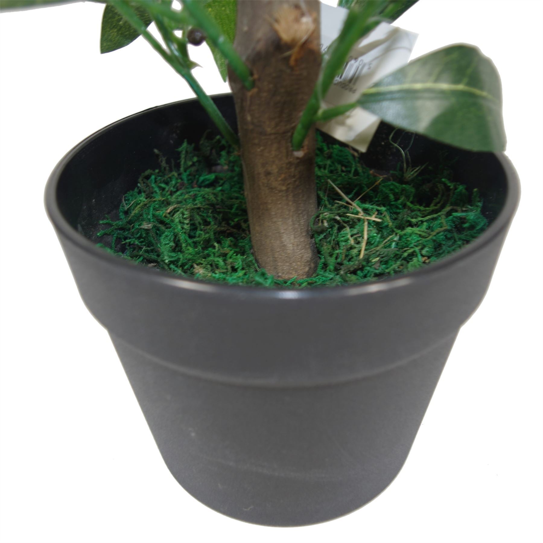 Pair of 50cm Dwarf Artificial Bay Trees Laurel Topiary Bushes - Premium Quality
