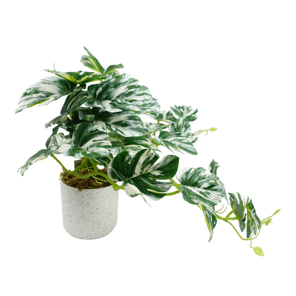 30cm Artificial Variegated Green Potted Monstera Trailing Plant