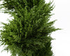 Leaf 120cm Spiral Cypress Artificial Tree UV Resistant Outdoor